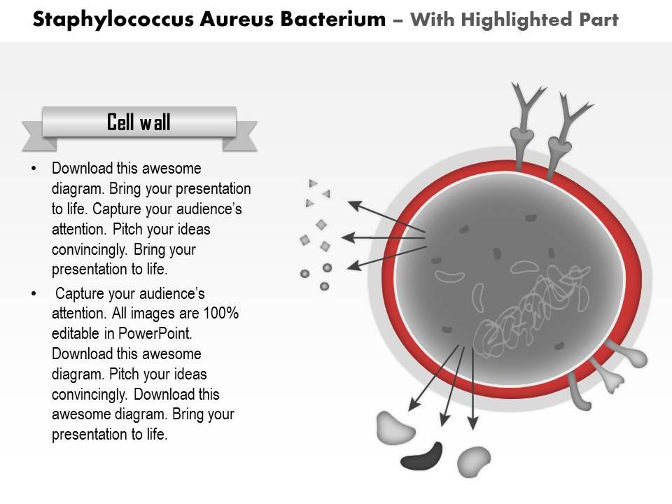 0814 Staphylococcus Aureus Bacterium Medical Images For Powerpoint