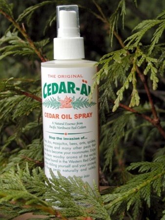 10 Cedar Oil Spray Tips For Pest Control