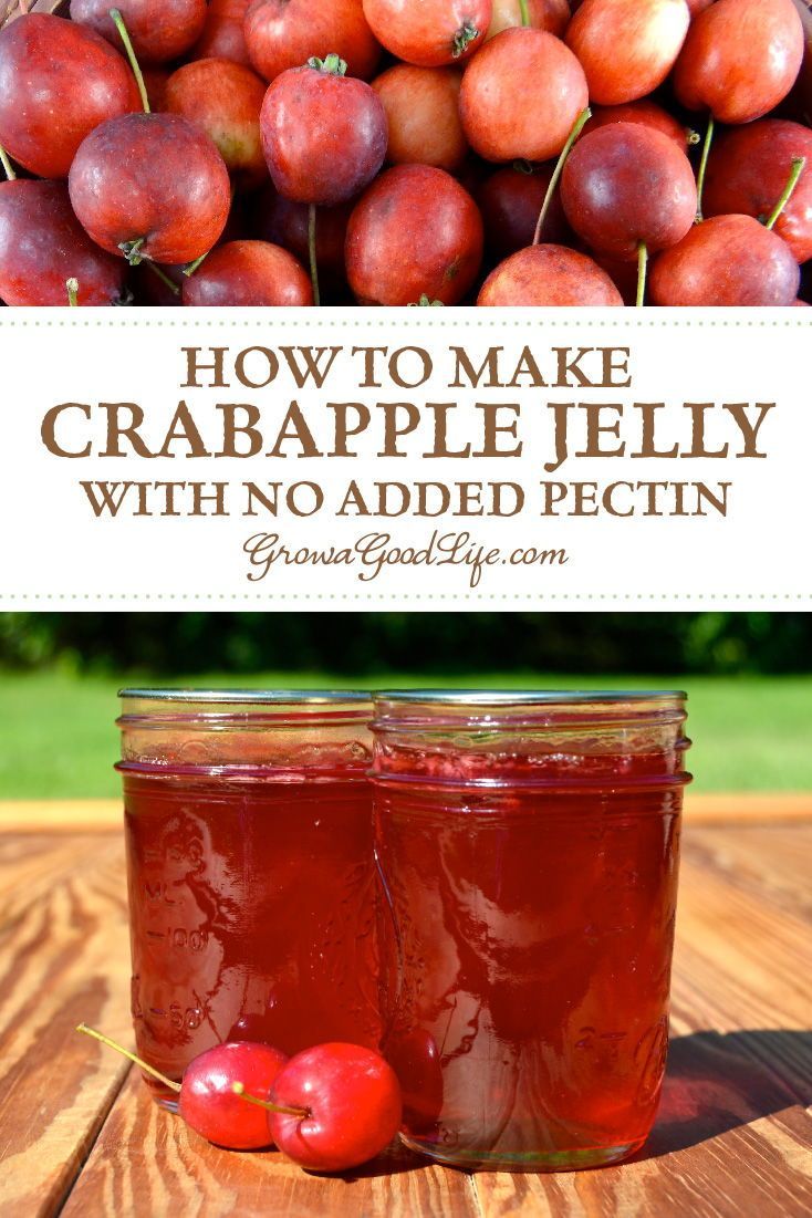 10 Crabapple Jelly Recipes For Easy Canning