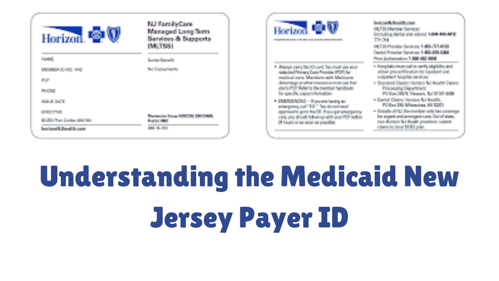 10 Medicaid New Jersey Payer Id Secrets Revealed