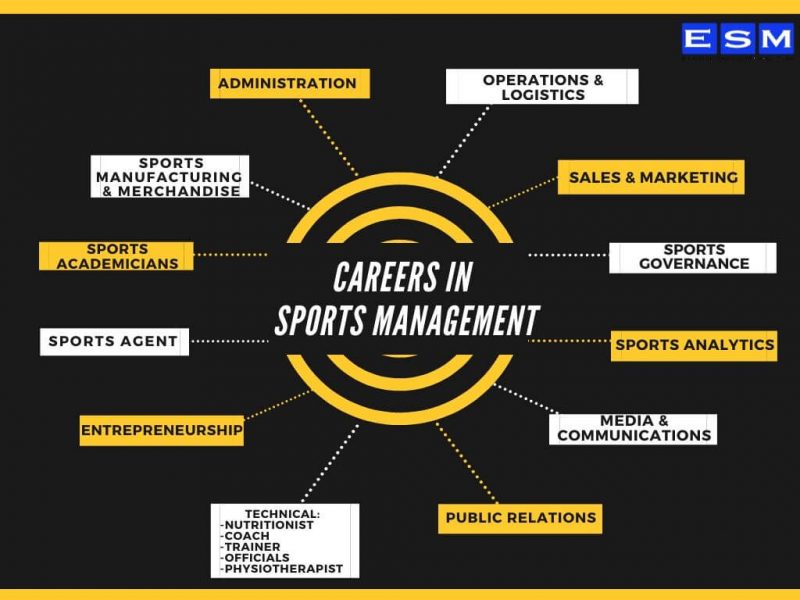 10 Sports Management Degree Jobs That Pay Well