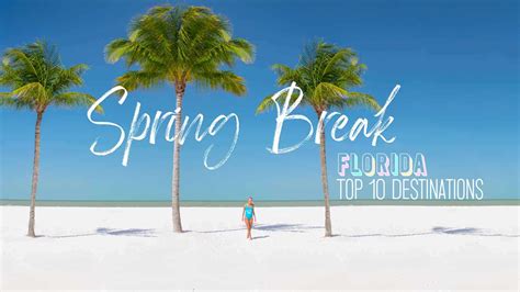 10+ Uf Spring Break Tips For Safety