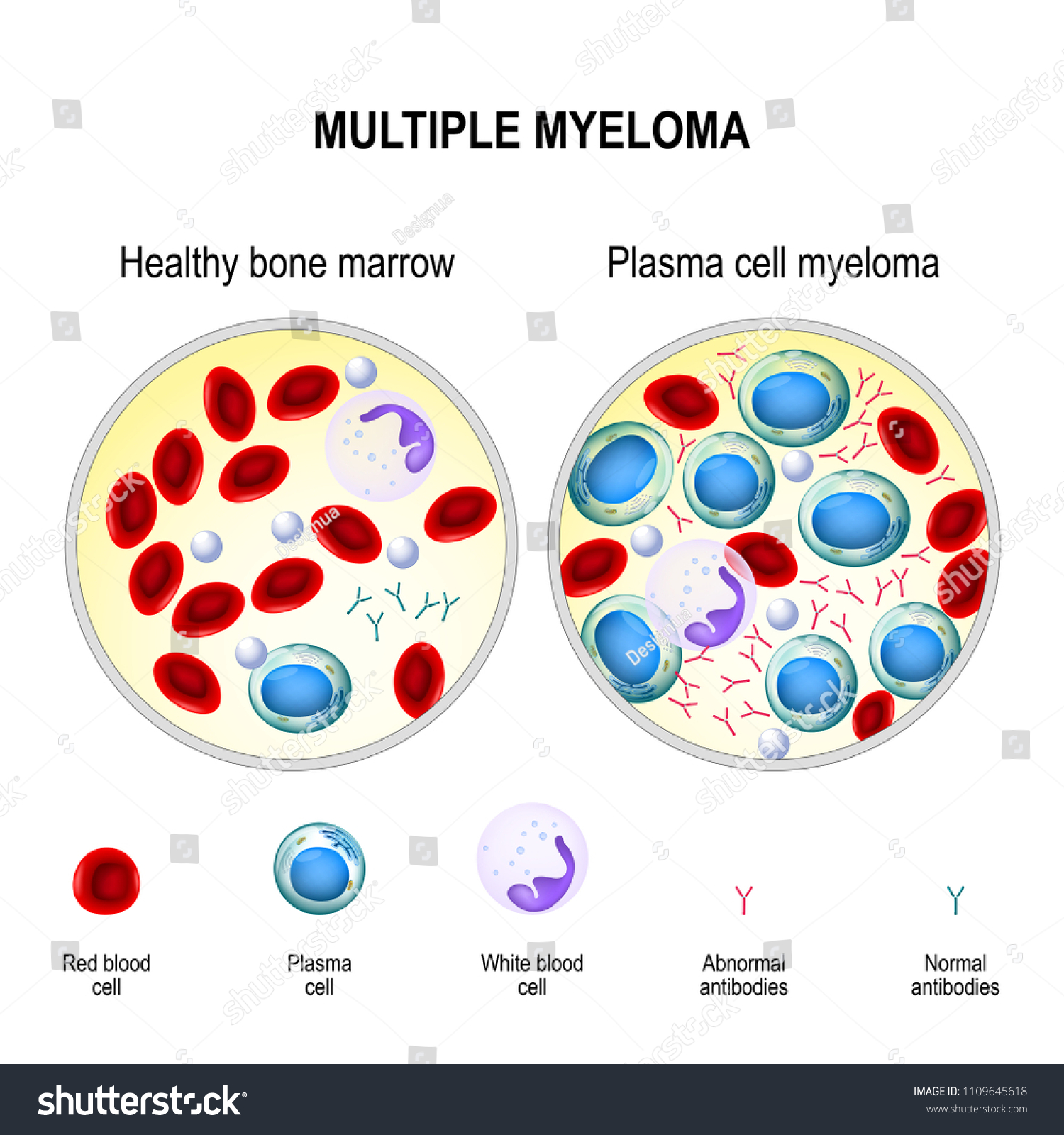 11 Bone Marrow Baby Tips For Healthy Growth