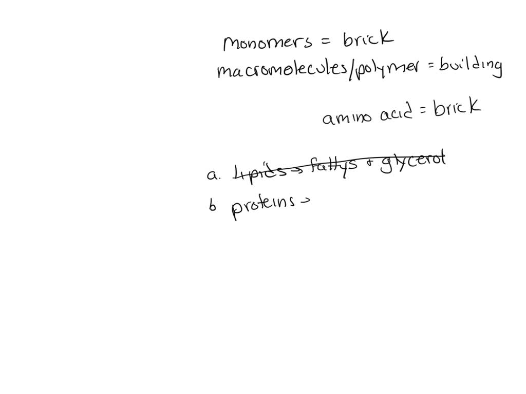 12+ Essential Monomers Of Lipids Revealed