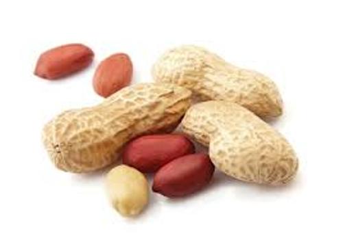 12 Peanut Facts Revealing Why Growth Is Restricted