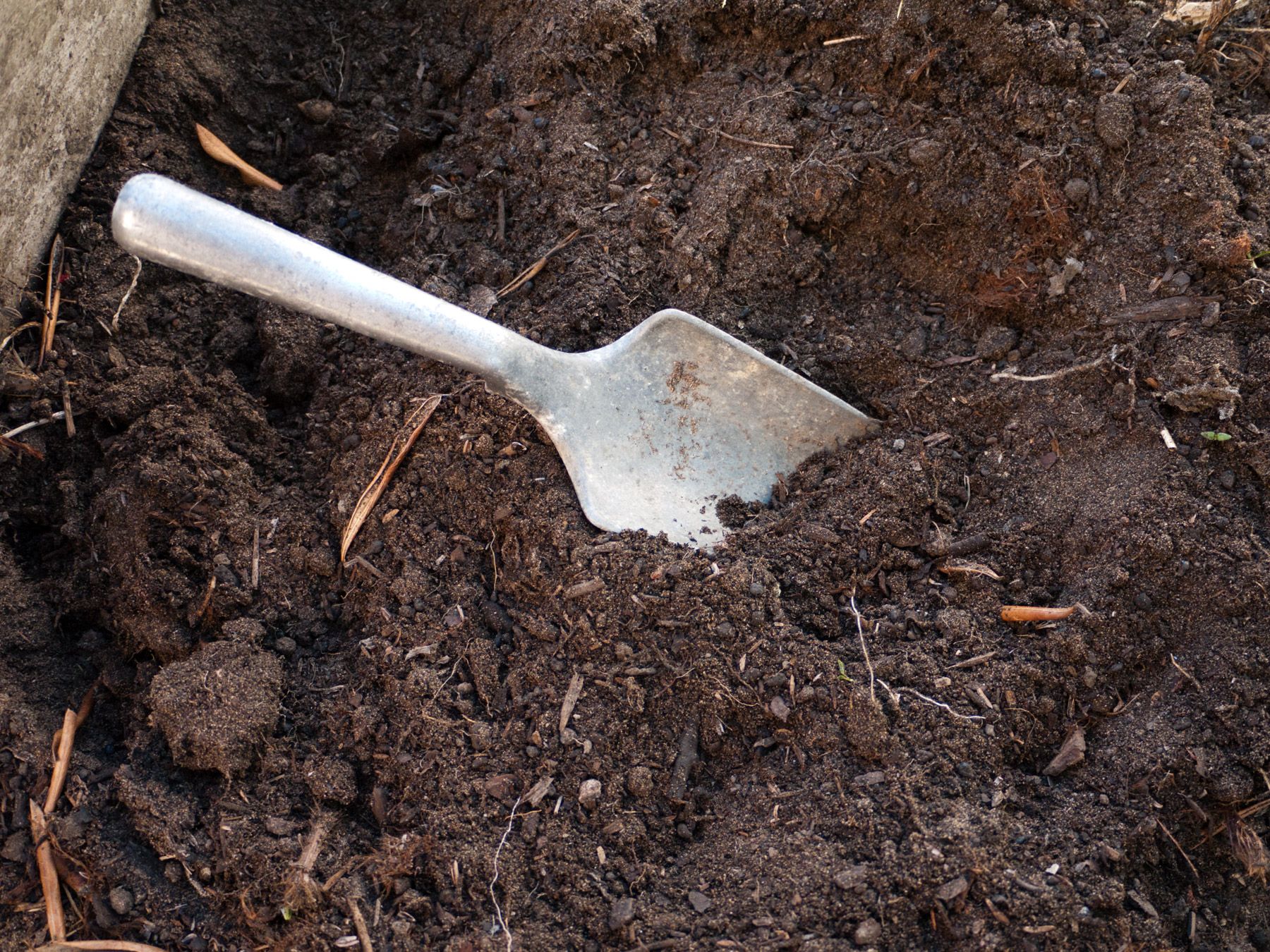 12 Soil Testing Near Me Tips For Better Gardens