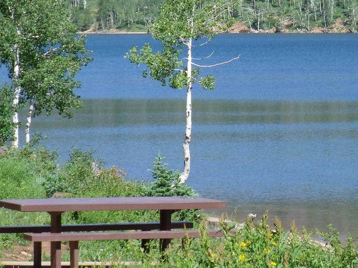 12 Spruces Campground Utah Secrets For Easy Booking