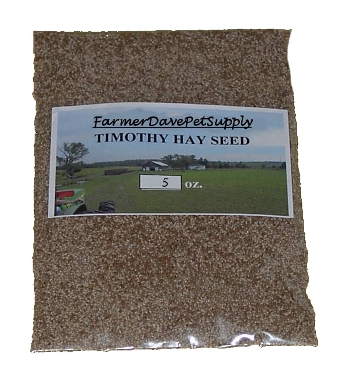 12 Timothy Hay Seed Secrets For Healthy Animals