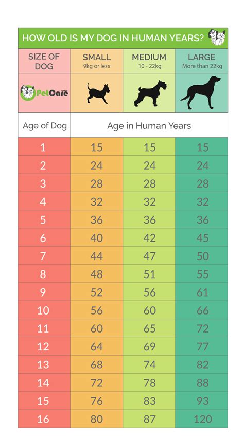 16 In Dog Years