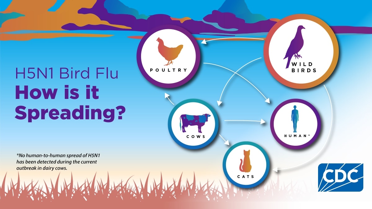 7 H5 Bird Flu Updates For Canadian Protection