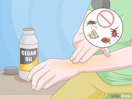 8 Ways To Mix Cedar Oil For Pest Control Wikihow