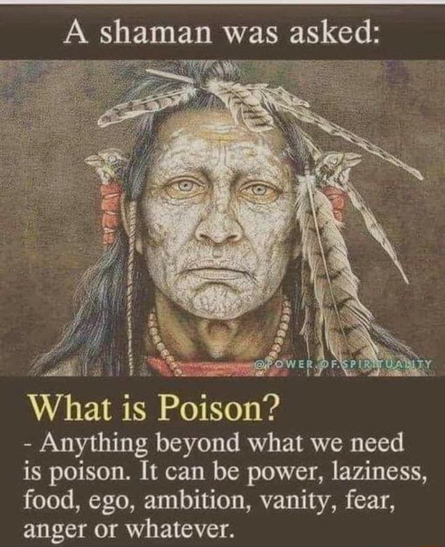 A Shaman Was Asked What Is Poison Anything Beyond What We Need Is