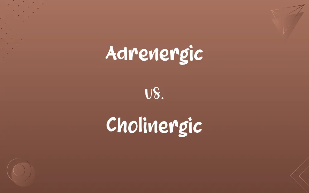 Adrenergic Vs Cholinergic