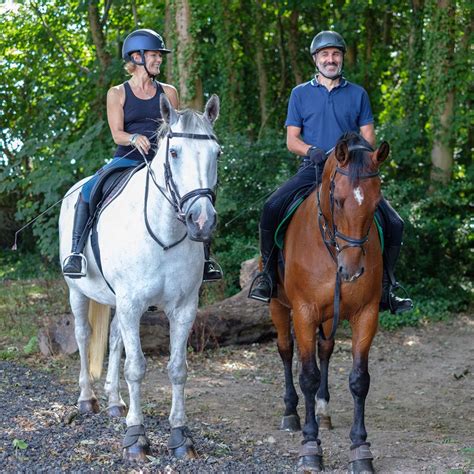 Adult Horse Riding Lessons