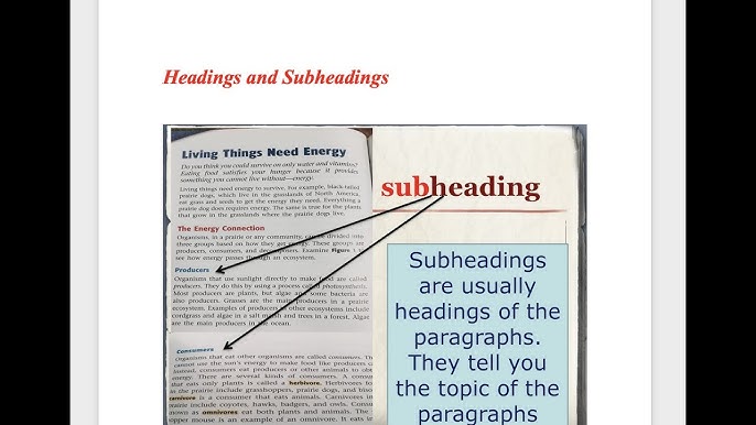 Apa Format Subheadings