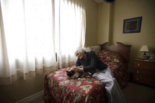 Are Pets Allowed In Assisted Living Assisted Living Pets Assisted