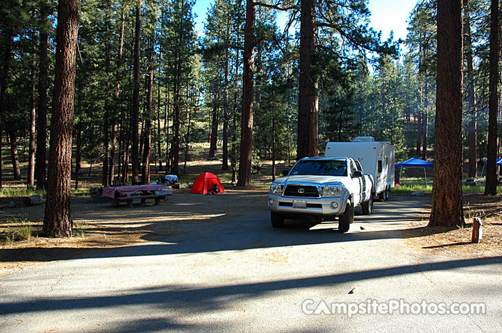 Barton Flats Campground Camping Big Bear City Ca The Dyrt