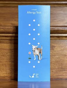 Benefits Of Canine Allergy Testing And 2025 S Best At Home Allergy Test