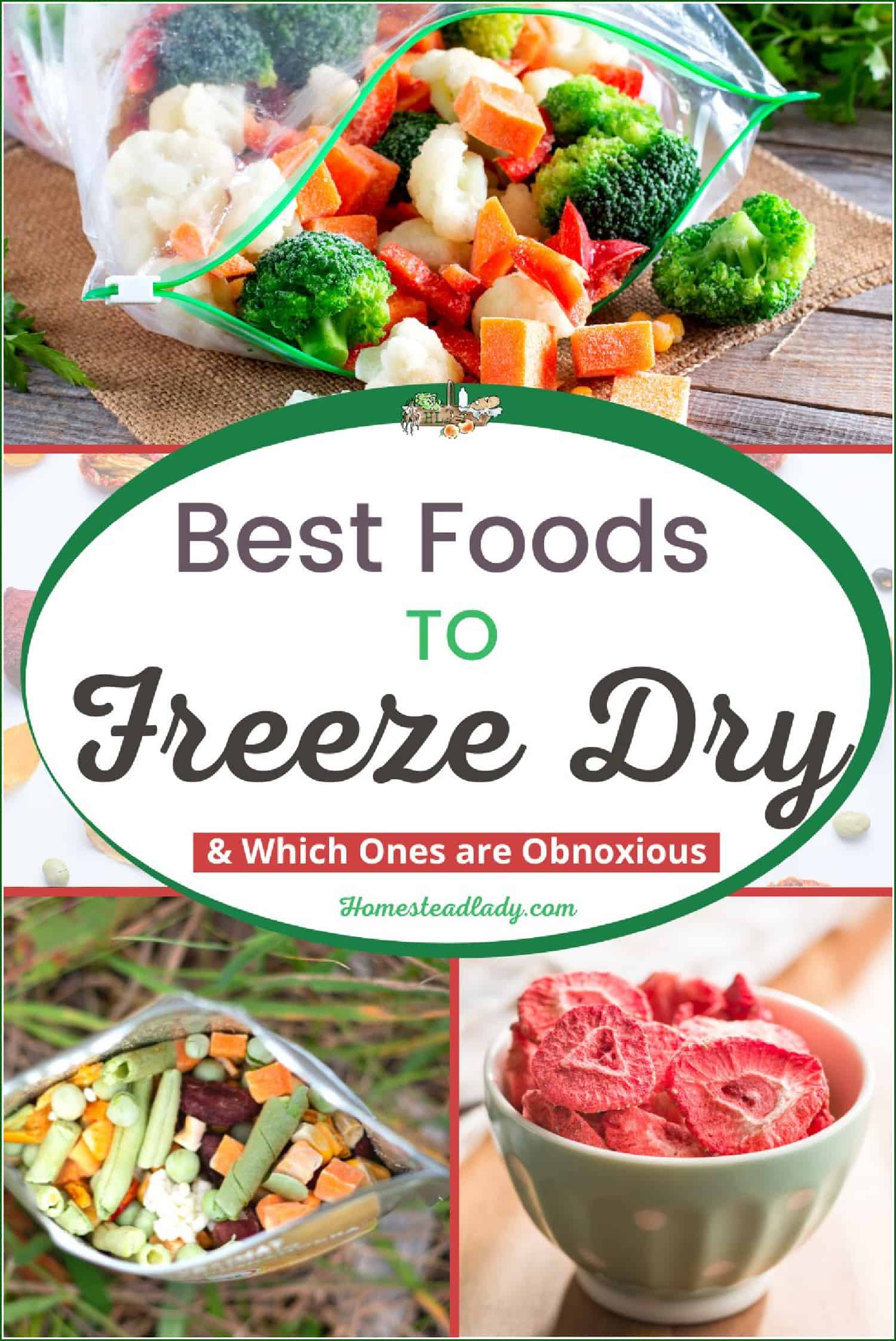 Best Foods To Freeze Dry Homestead Lady