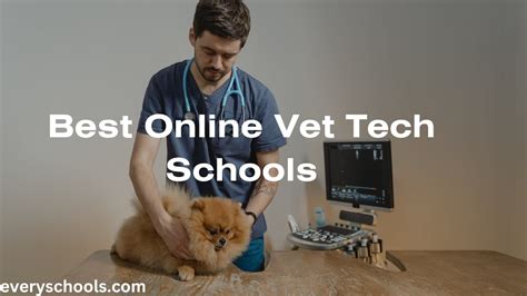 Best Online Vet Tech Schools