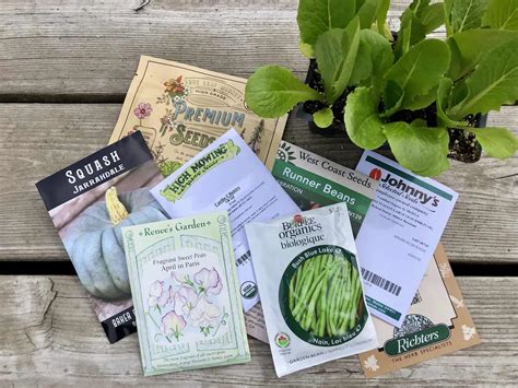 Best Seed Companies: Expert Advice For Gardeners