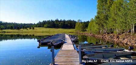 Big Lake Springerville Arizona Places To Visit Big Lake Natural Landmarks