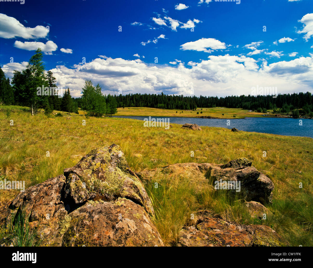 Big Lake White Mountains Of Eastern Arizona Usa Stock Photo Alamy