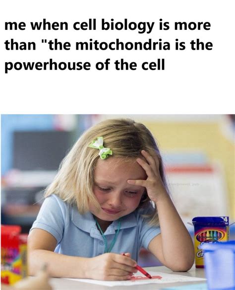 Biology Memes Gifs Imgflip