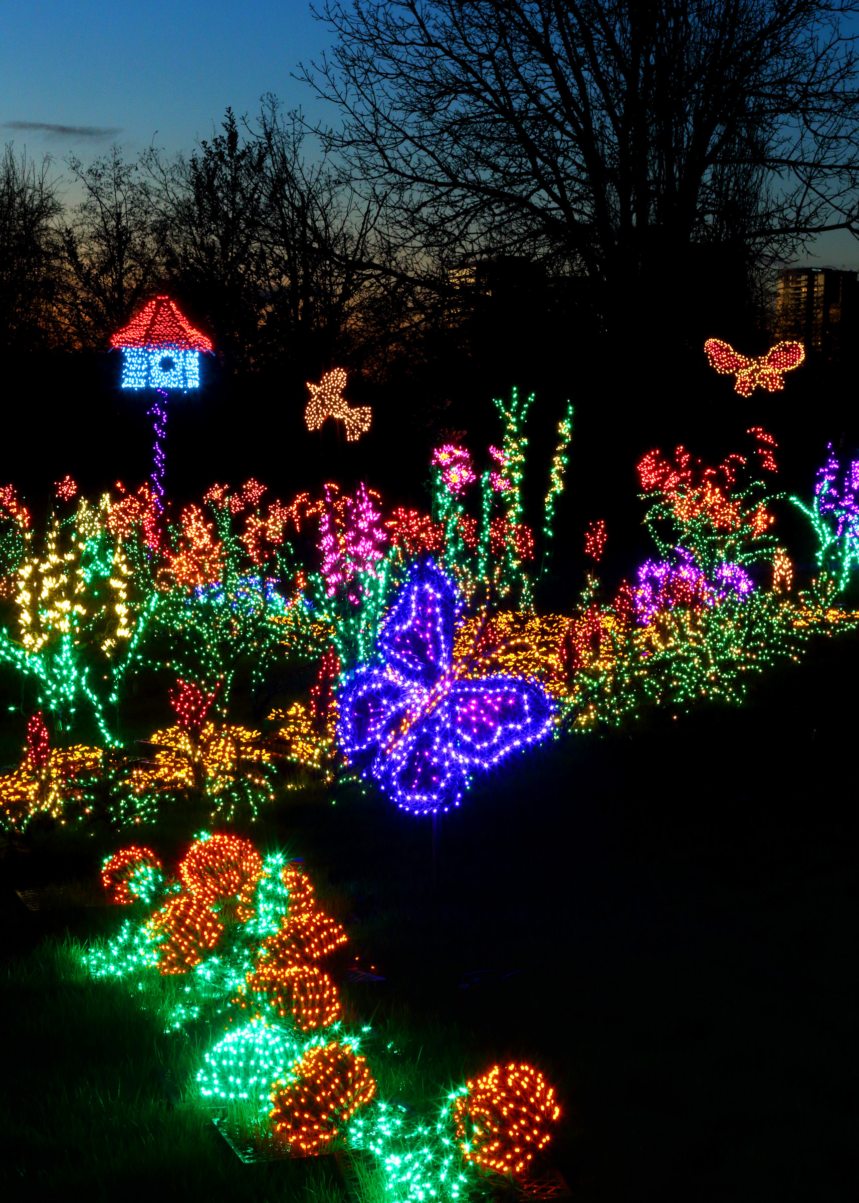 Botanical Gardens Christmas Lights