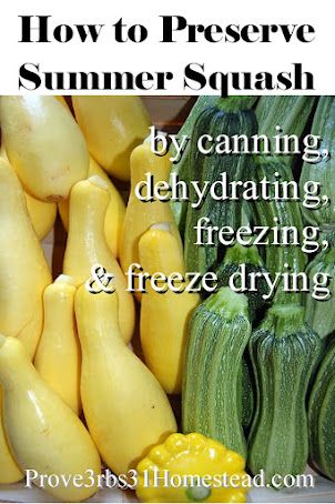 Butternut Squash Freezing Tips: Preserve Freshness