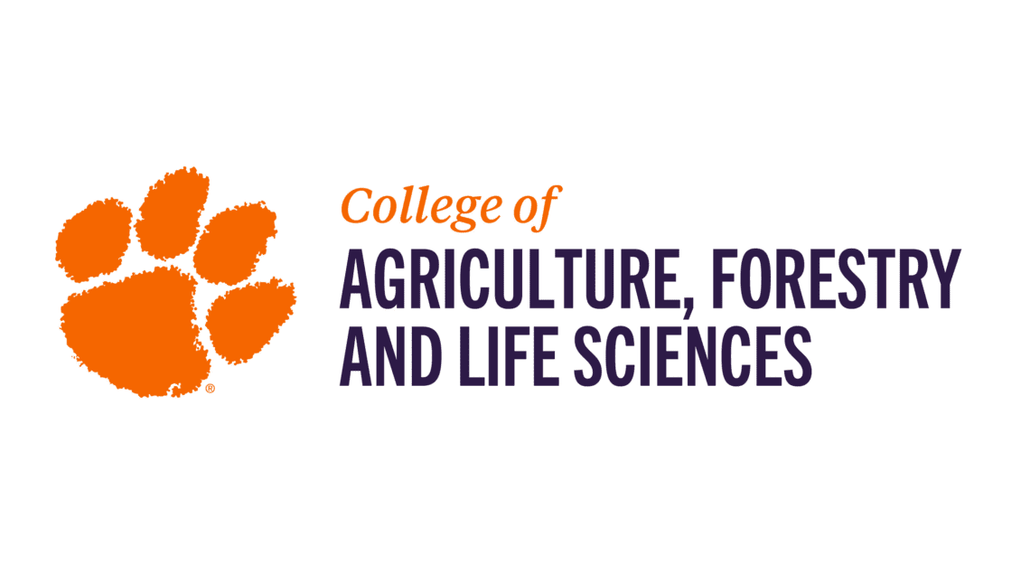 Canada Thistle College Of Agriculture Forestry And Life Sciences