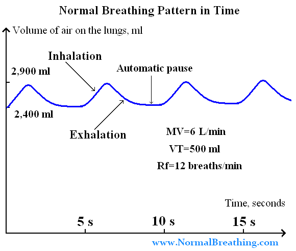 Canine Normal Respiratory Rate