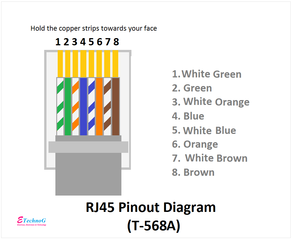 Cat 5 Connector Wiring Diagram Wiring Draw And Schematic