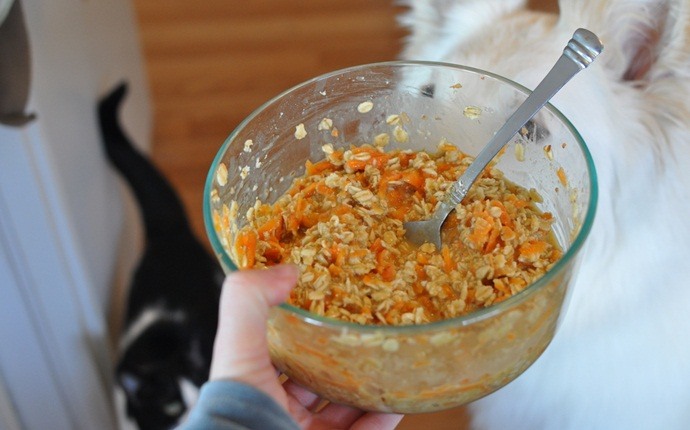 Cat Food Recipes