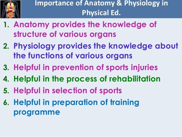 Chapter 8 Fundamentals Of Anatomy And Physiology