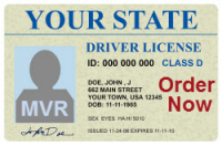 Check Driver License Status