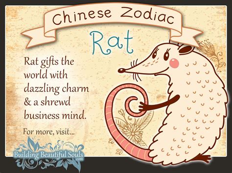 Chinese Zodiac: Unlock Your Personality Traits