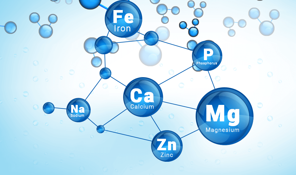 Class 12 Inorganic Chemistry Important Questions 2025 2026 Adarsh Barnwal