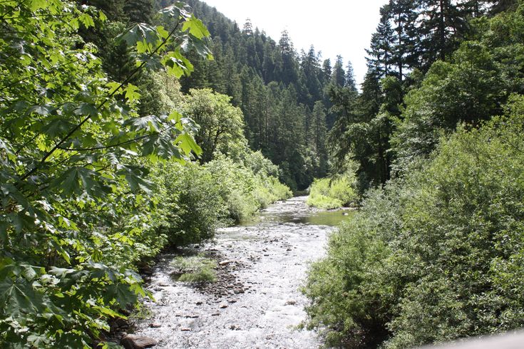 Columbia River Gorge National Scenic Area Eagle Creek Trailhead Trail 440 Backpacking