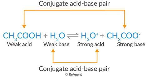 Conjugate Acid Base