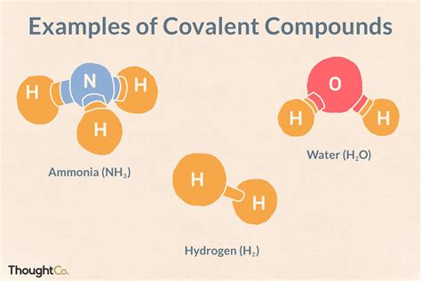 Covalent Bonds Examples