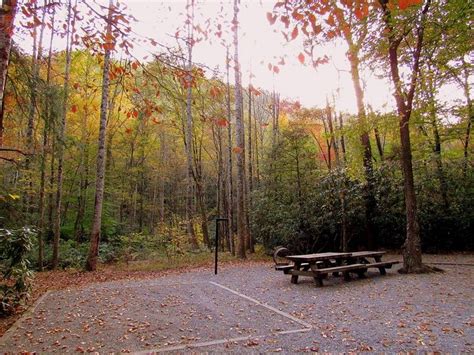 Davidson River Campground