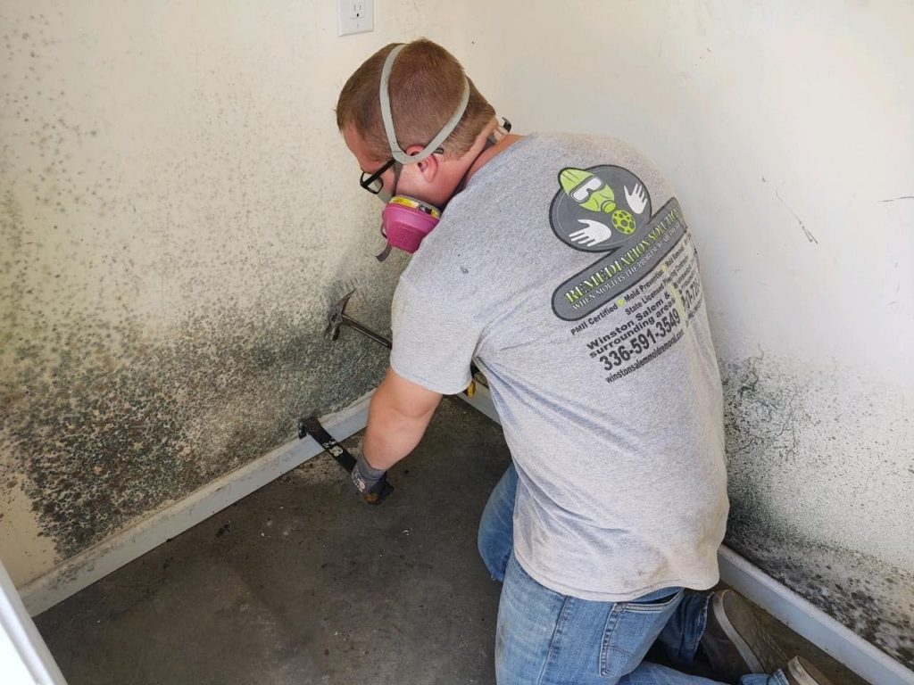 Diy Vs Professional Mold Remediation Pros And Cons Emergency