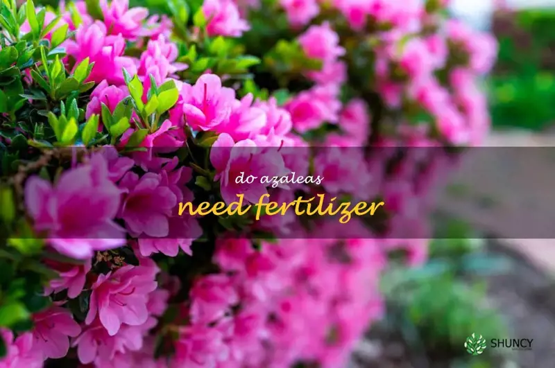 Do Azaleas Need Pest Control