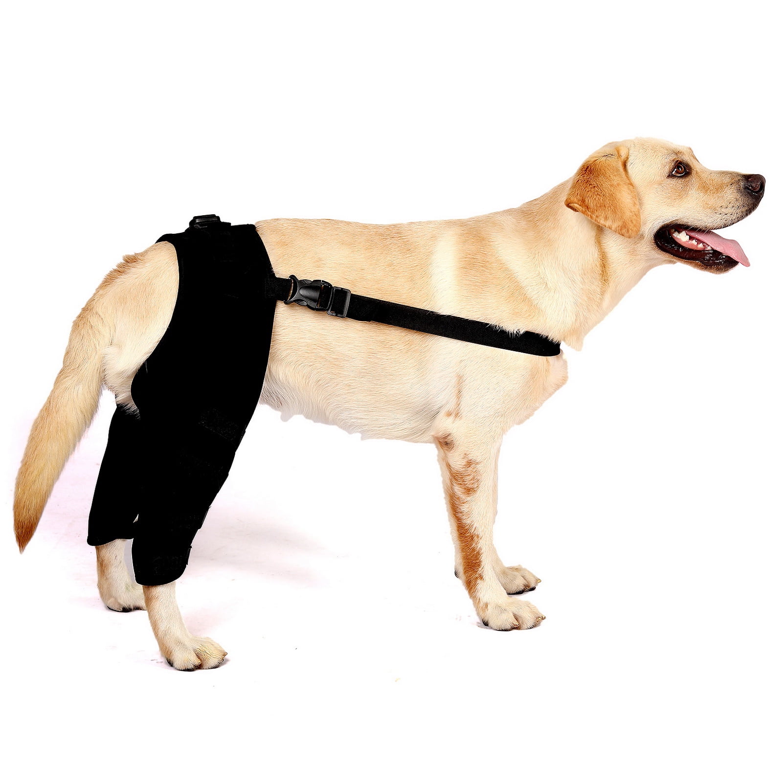 Dog Rear Leg Compression Brace Support For Torn Acl Recovery Wrap Medium Labra Dog Braces