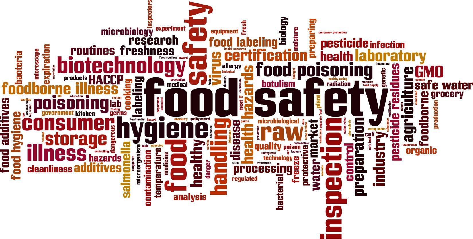 E Coli Mcdonald: Food Safety Alerts & Precautions