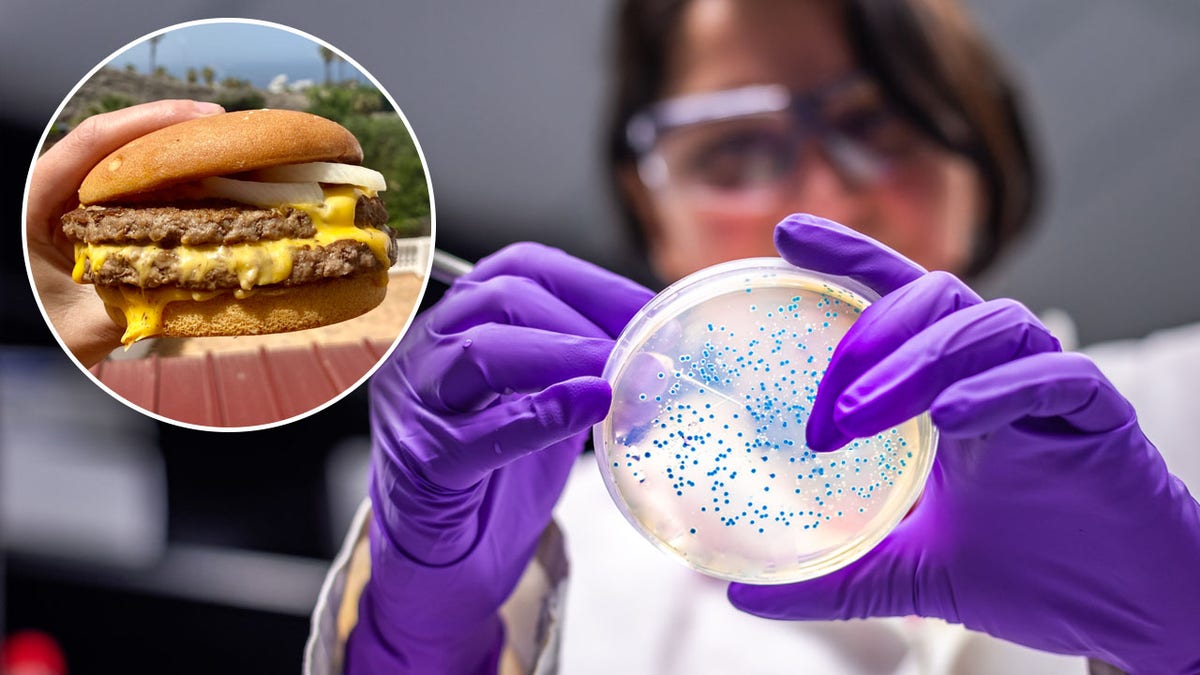 Ecoli Breakout At Mcdonald's: Protect Your Health Now