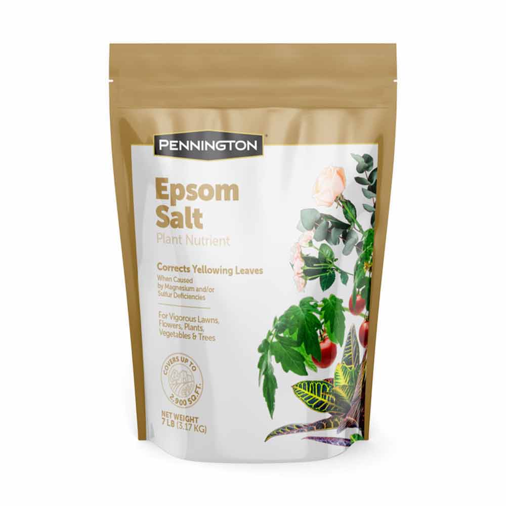 Epsum Salt How To Use Epsom Salt In Plant Organic Fertilizer