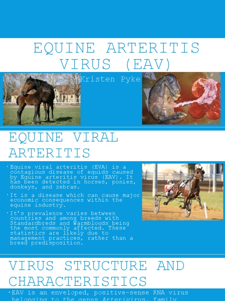 Equine Viral Arteritis