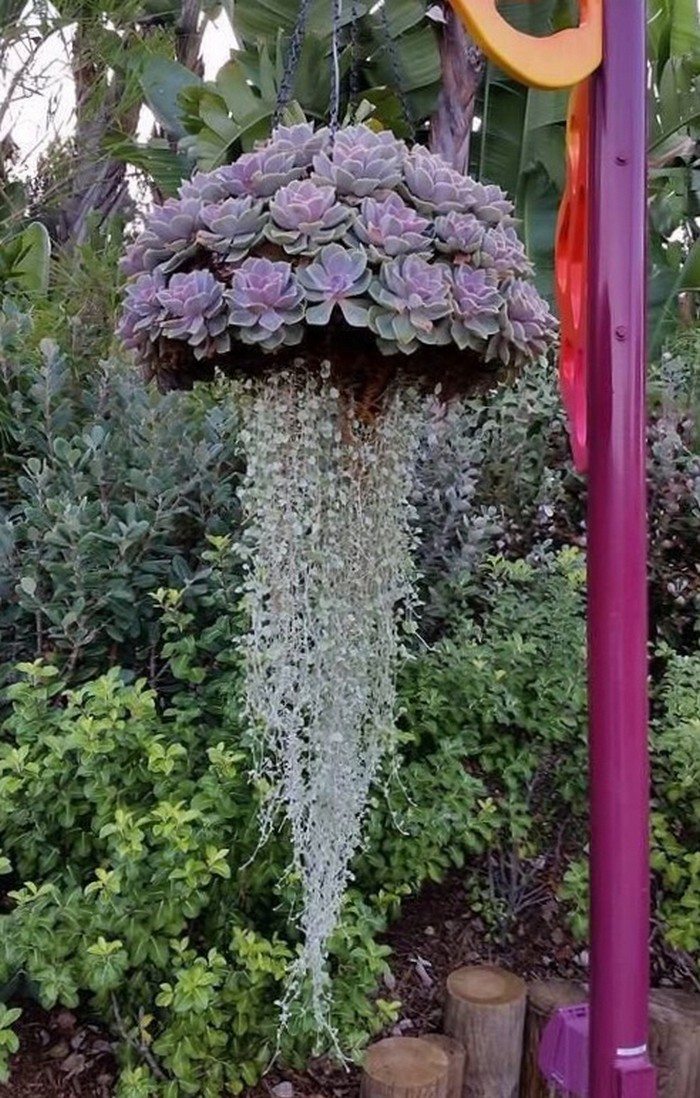 Fabulous Tips About Diy Hanging Plant Basket Over The Fence Holders Ifphoto